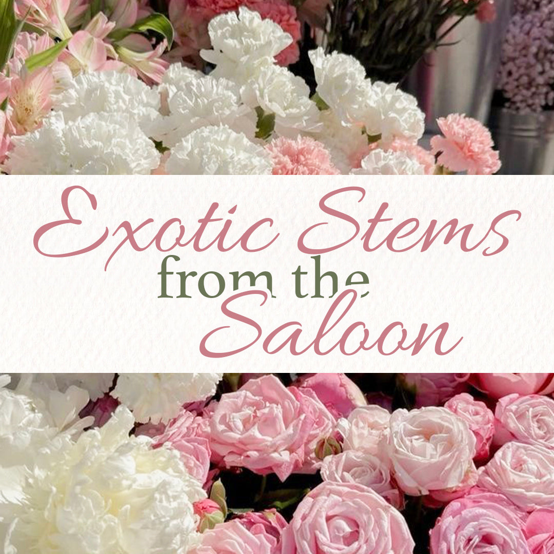 Exotic Stems from the Saloon