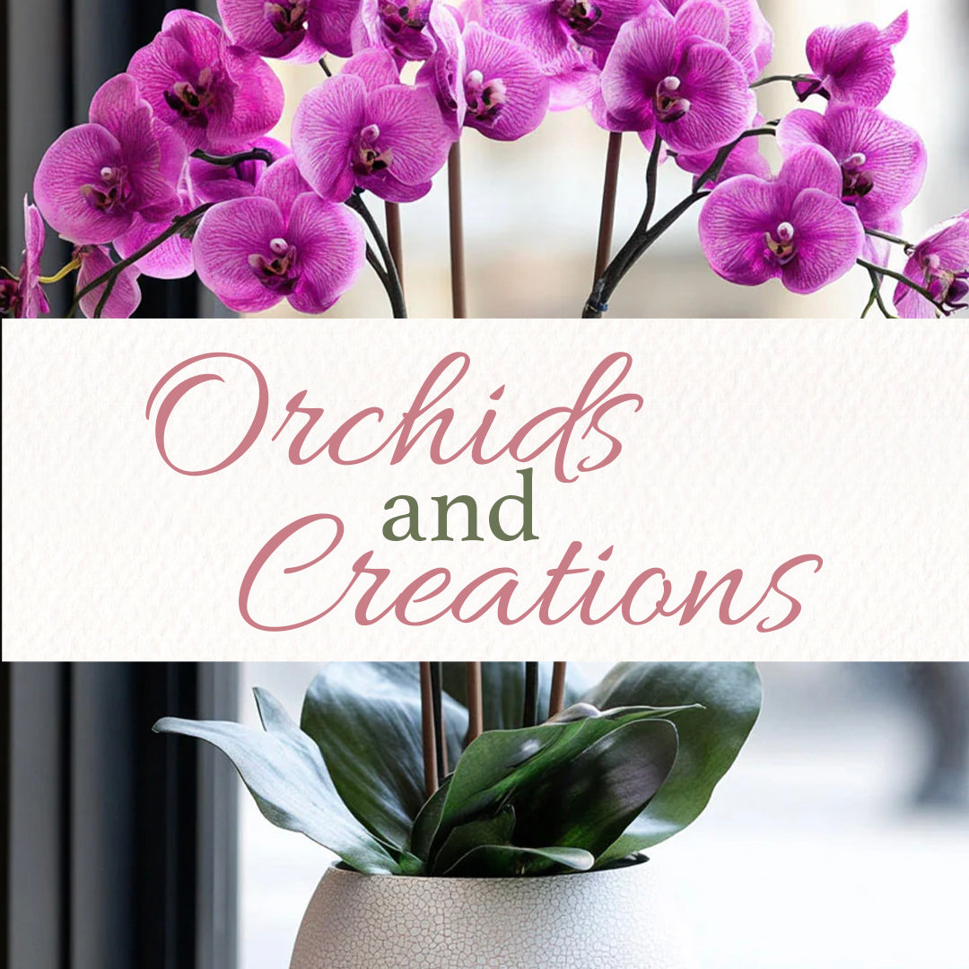 Orchids & Creations
