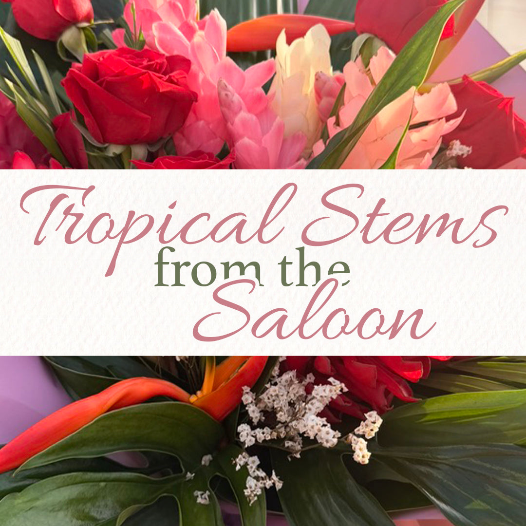 Tropical Stems from the Saloon