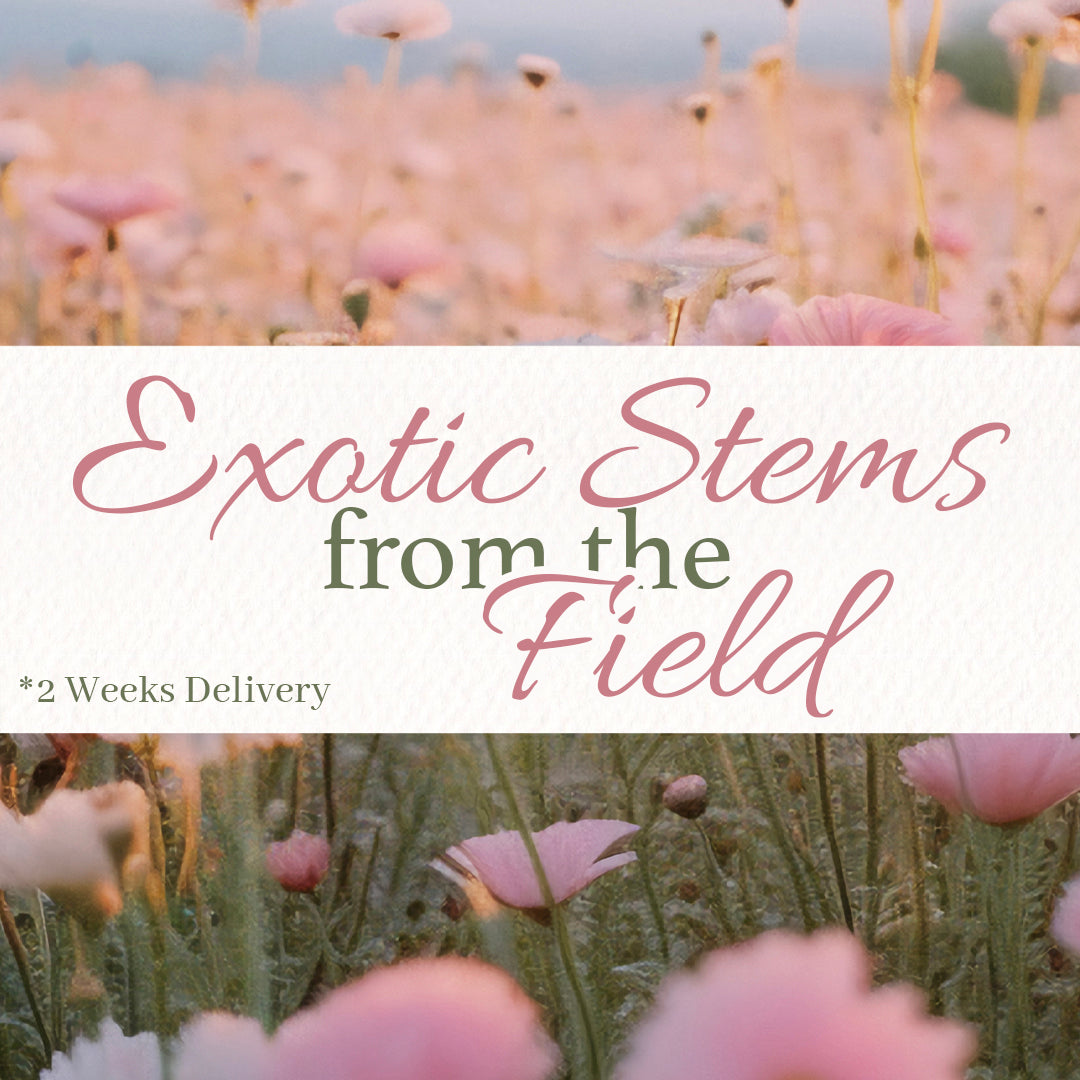 Exotic Stems from the Field