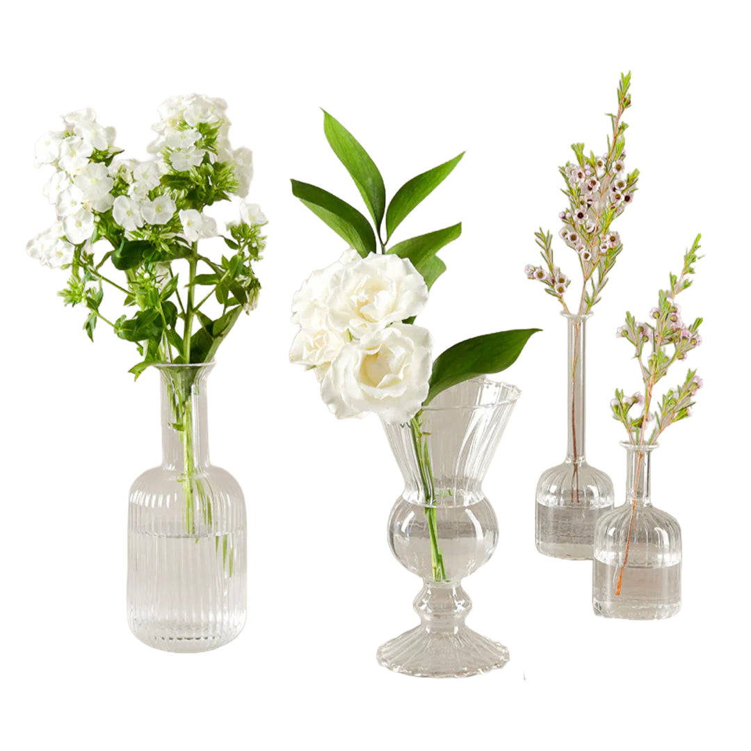 Designer's Choice Assorted Deco Glass Vase, Set of 4