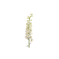 Delphinium Stem