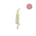 Delphinium Stem