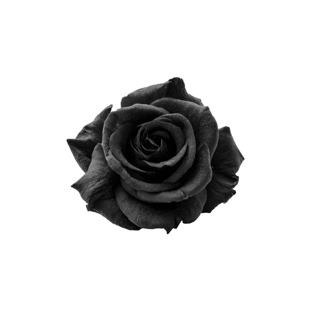 Rose Tinted Stem