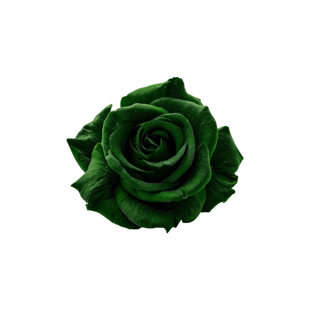 Rose Tinted Stem