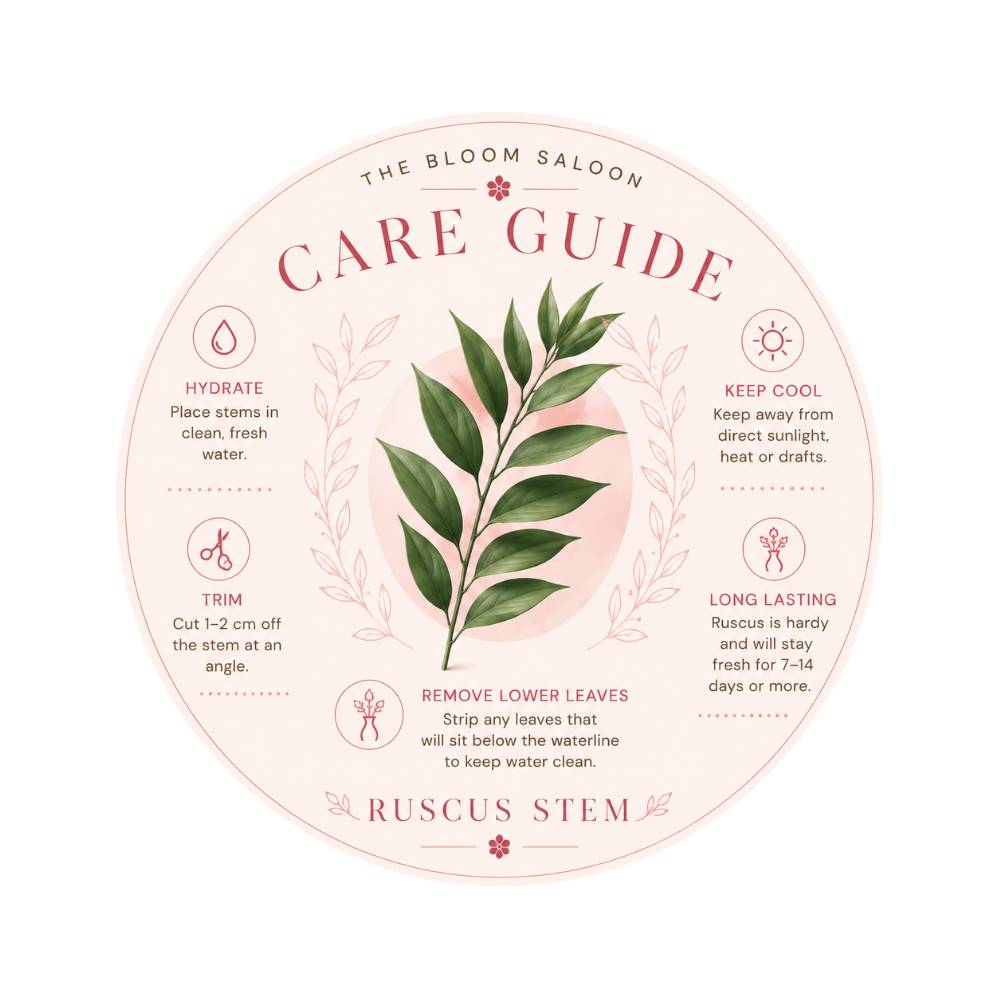 Ruscus Italian Stem