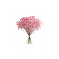 Gypsophilia Tinted Stem
